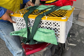 Bài đánh giá về trại gà đen Tây Bắc Quận 7 Hồ Chí Minh