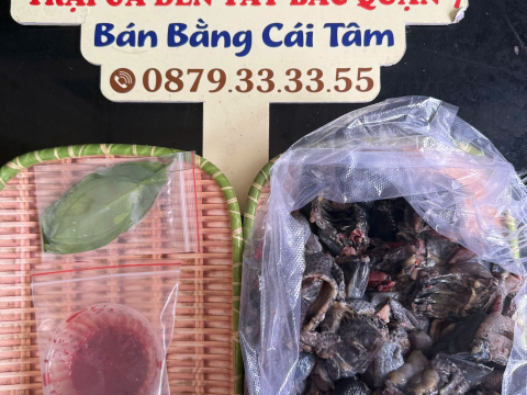 Trại gà đen Tây Bắc Sơn Vũ