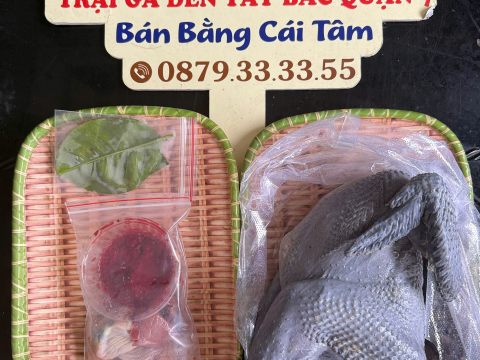 ĐƠN NGÀY 11/6