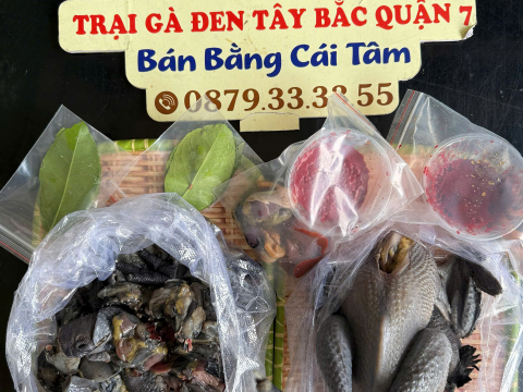 ĐƠN NGÀY 13/6