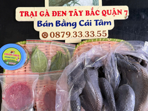 Trại gà đen Tây Bắc Sơn Vũ