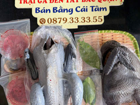 Trại gà đen Tây Bắc Sơn Vũ
