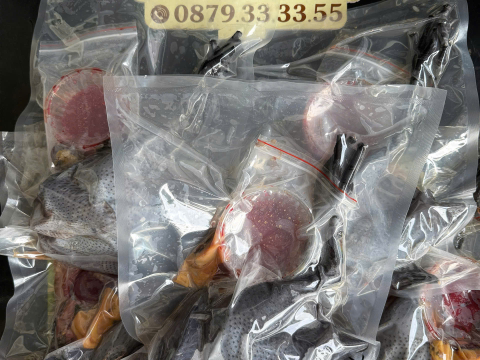 Trại gà đen Tây Bắc Sơn Vũ