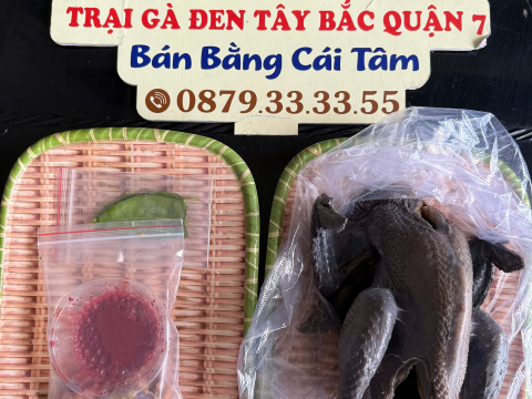 ĐƠN NGÀY 15/6