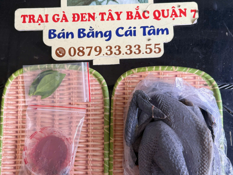 Trại gà đen Tây Bắc Sơn Vũ