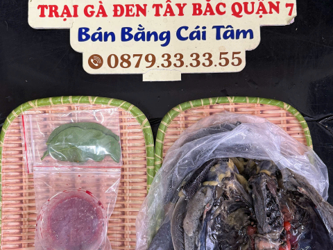 ĐƠN NGÀY 16/6