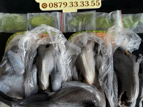 Trại gà đen Tây Bắc Sơn Vũ