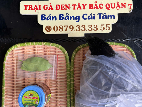 Trại gà đen Tây Bắc Sơn Vũ