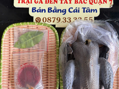Trại gà đen Tây Bắc Sơn Vũ