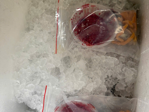 Trại gà đen Tây Bắc Sơn Vũ
