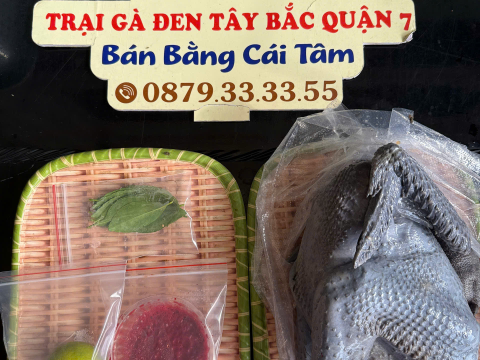 Trại gà đen Tây Bắc Sơn Vũ
