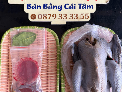Trại gà đen Tây Bắc Sơn Vũ