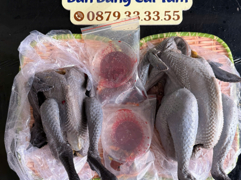 ĐƠN NGÀY 19/6