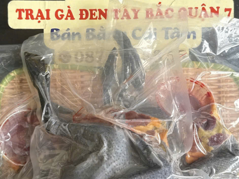 Trại gà đen Tây Bắc Sơn Vũ