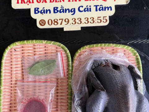 Trại gà đen Tây Bắc Sơn Vũ