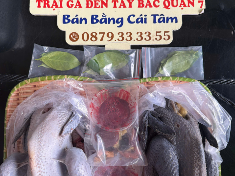 ĐƠN NGÀY 21/6