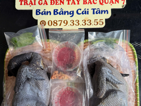 Trại gà đen Tây Bắc Sơn Vũ