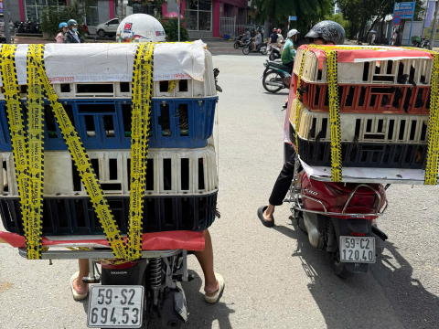Trại gà đen Tây Bắc Sơn Vũ