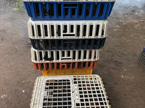 Trại gà đen Tây Bắc Sơn Vũ