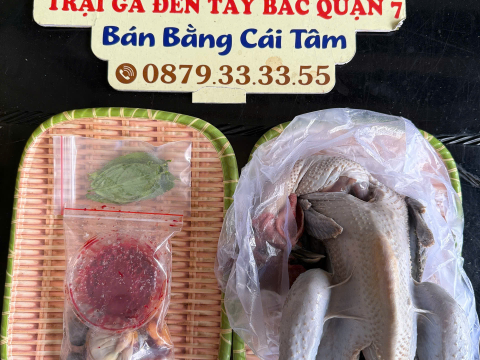 Trại gà đen Tây Bắc Sơn Vũ