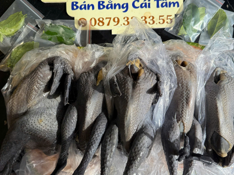 Trại gà đen Tây Bắc Sơn Vũ