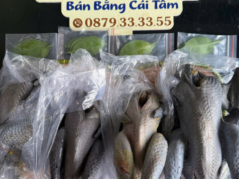 Trại gà đen Tây Bắc Sơn Vũ