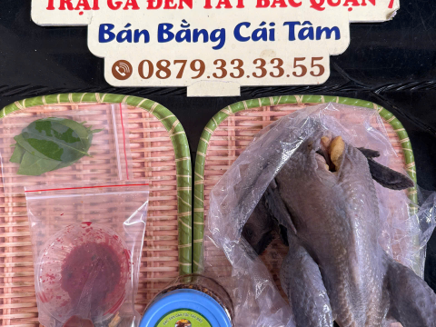 Trại gà đen Tây Bắc Sơn Vũ