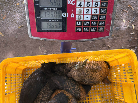 ĐƠN NGÀY 26/6