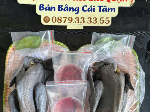 Trại gà đen Tây Bắc Sơn Vũ