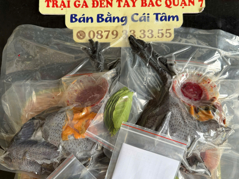 ĐƠN NGÀY 27/6