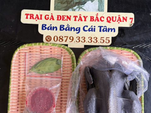 Trại gà đen Tây Bắc Sơn Vũ