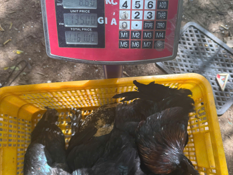 ĐƠN NGÀY 28/6
