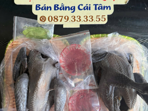Trại gà đen Tây Bắc Sơn Vũ