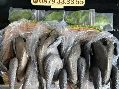 Trại gà đen Tây Bắc Sơn Vũ