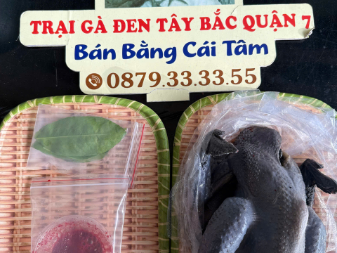 ĐƠN NGÀY 29/6
