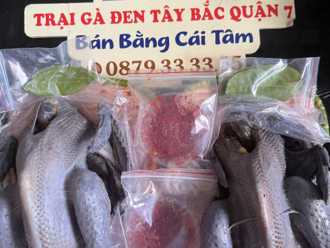 Trại gà đen Tây Bắc Sơn Vũ