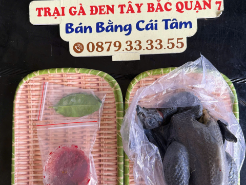 ĐƠN NGÀY 1/7