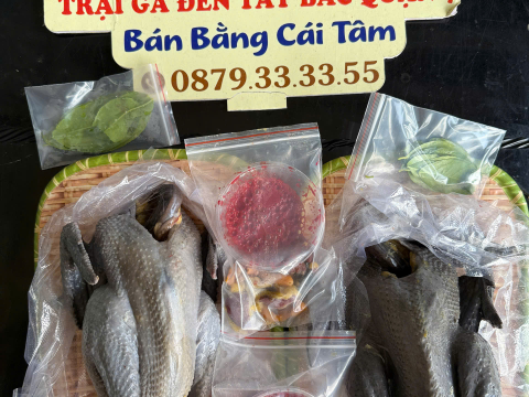 Trại gà đen Tây Bắc Sơn Vũ