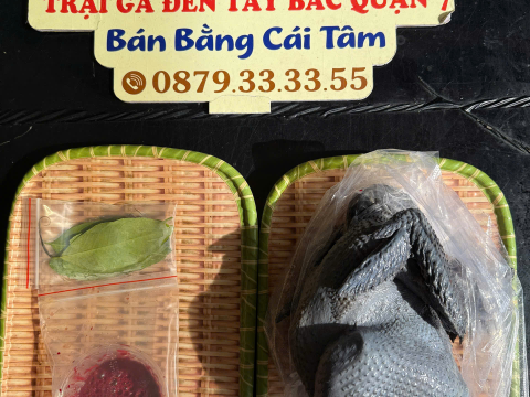 Trại gà đen Tây Bắc Sơn Vũ