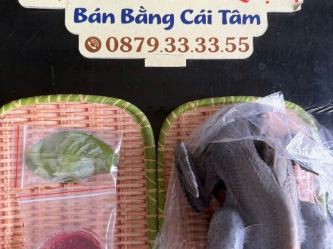 Trại gà đen Tây Bắc Sơn Vũ