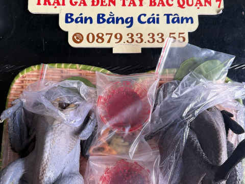 Trại gà đen Tây Bắc Sơn Vũ