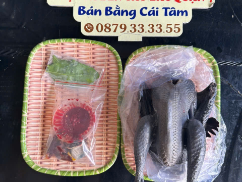 Trại gà đen Tây Bắc Sơn Vũ