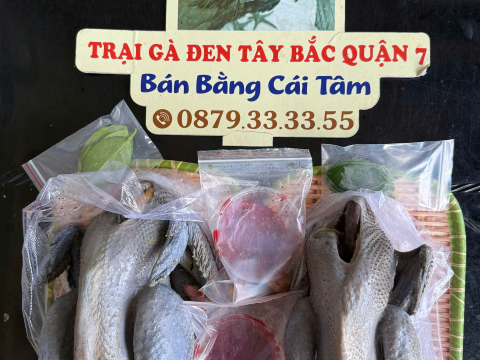 ĐƠN NGÀY 4/7