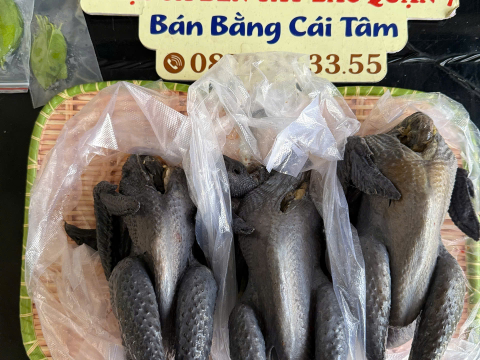 Trại gà đen Tây Bắc Sơn Vũ