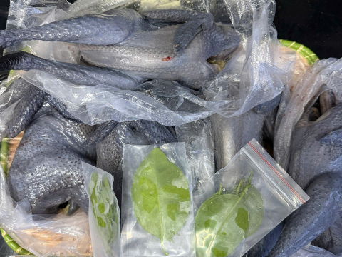 Trại gà đen Tây Bắc Sơn Vũ