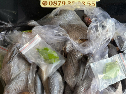 Trại gà đen Tây Bắc Sơn Vũ