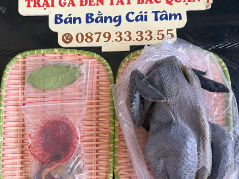 Trại gà đen Tây Bắc Sơn Vũ