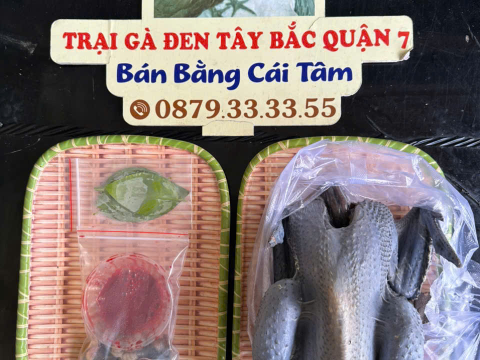 Trại gà đen Tây Bắc Sơn Vũ