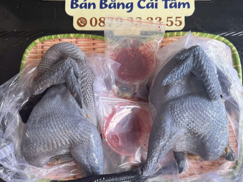 ĐƠN NGÀY 7/7