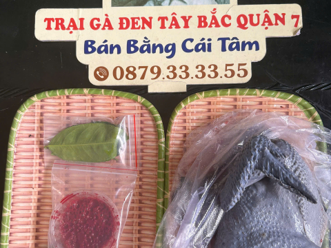 Trại gà đen Tây Bắc Sơn Vũ